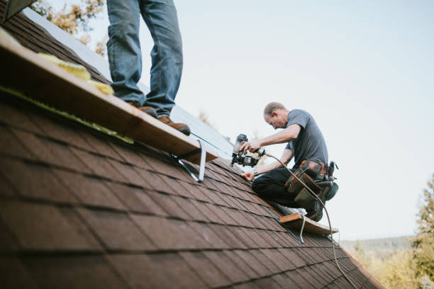 Roof Gutter Cleaning in Muhlenberg Park, PA